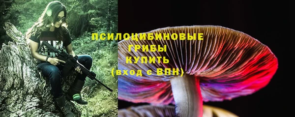 эйфоретик Алзамай