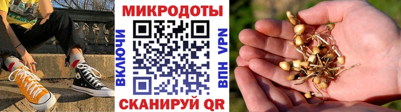 Псилоцибиновые грибы MAGIC MUSHROOMS  Нестеровская 